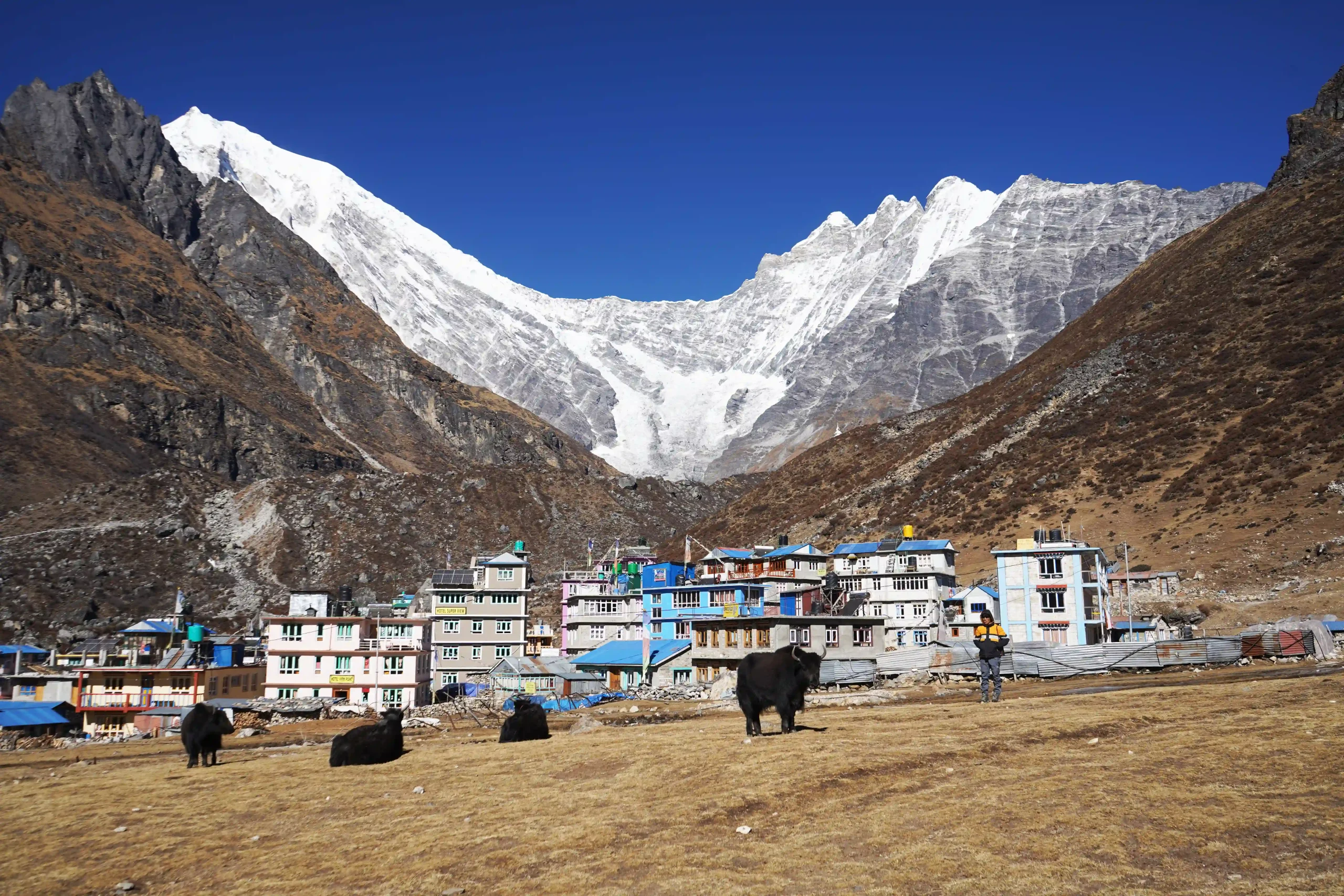 Langtang Trek- 10 days Langtang Trek- 10 days