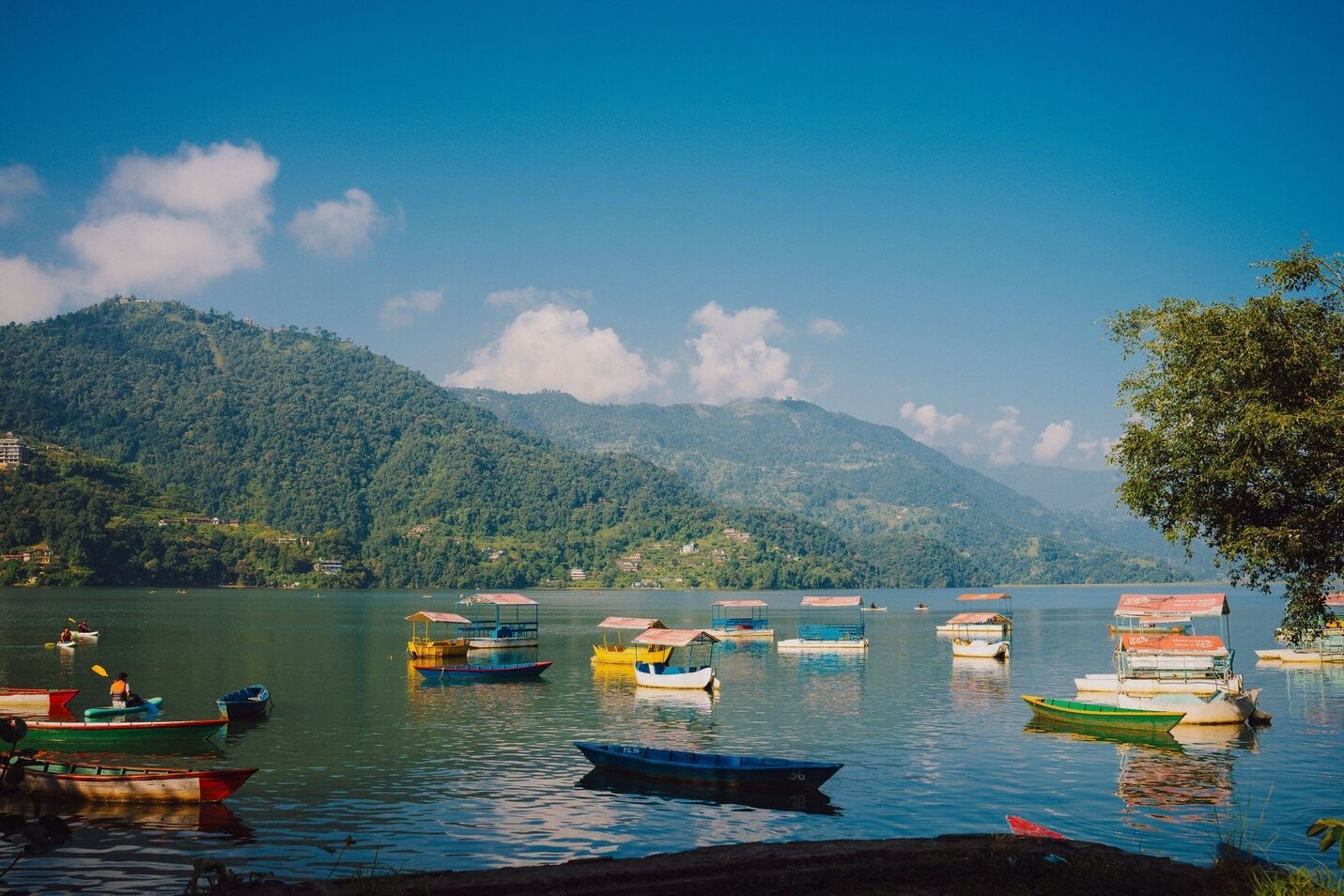 Pokhara Day Tour-1 Day Colorful boats floating on Phewa Lake in Pokhara, Nepal, with green hills and a clear blue sky in the background.