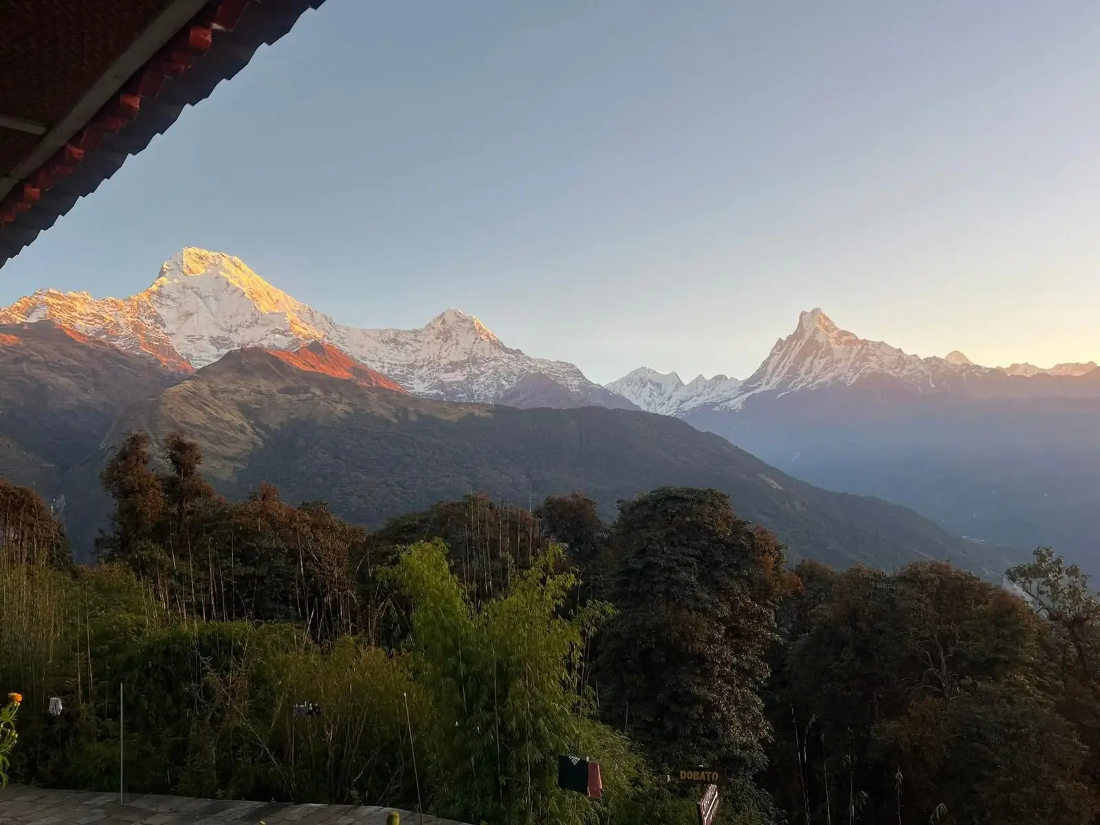 Poon Hill Trek 4 Days Golden sunrise over snow-capped Annapurna mountains and Machapuchare above a lush green forest in Nepal.