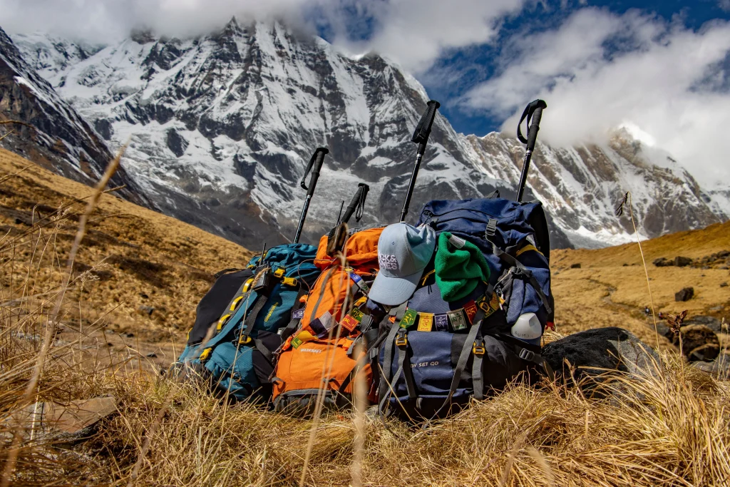 Three trekking backpacks with hiking poles resting on dry grass with snowy mountain peaks in the background.