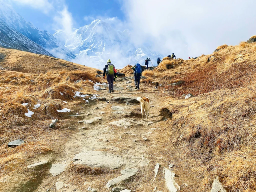 Hikers with backpacks and a dog walking up a dry mountain trail toward snowy peaks.