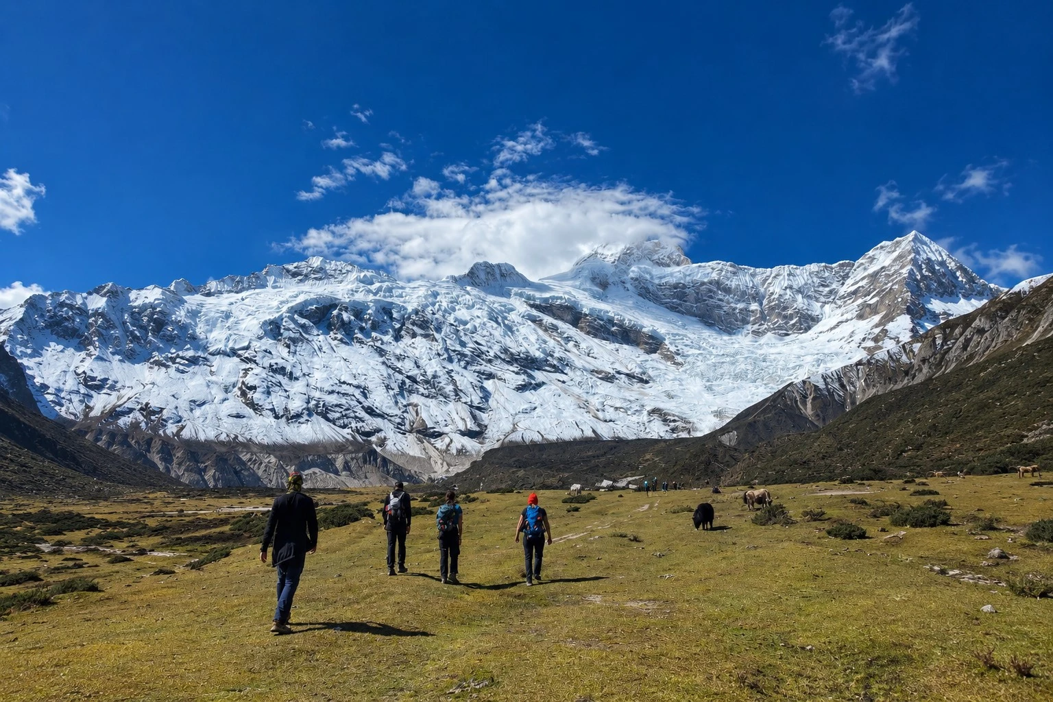 Manaslu with Annapurna Circuit Trek and Annapurna Base Camp A group of four trekkers with backpacks walking across a high-altitude green meadow toward a vast, snow-capped mountain range under a deep blue sky.