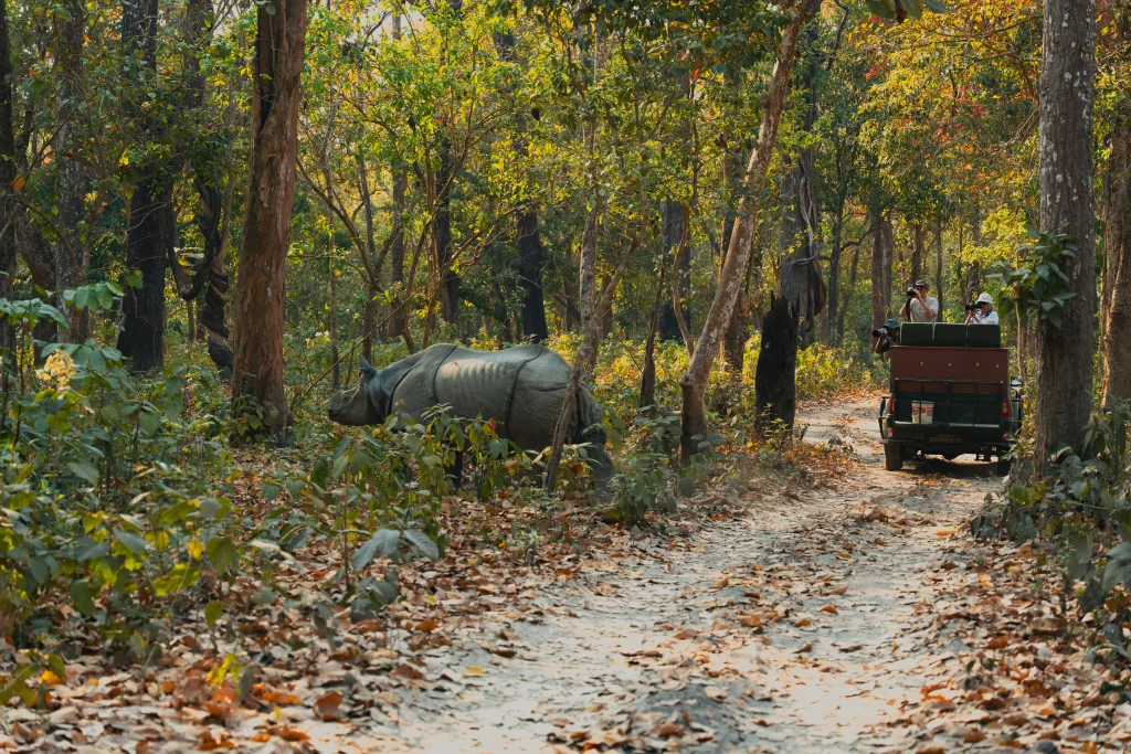 Rhinoceros seen during a jungle safari in Nepal