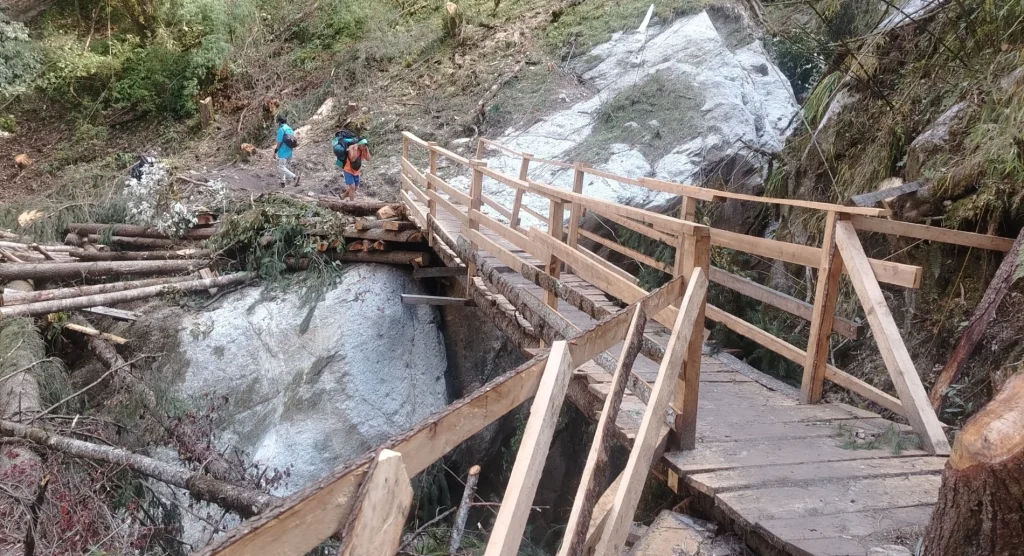 Trekkers crossing a rustic wooden footbridge over a rocky stream with fallen trees along the Manaslu Circuit trail.