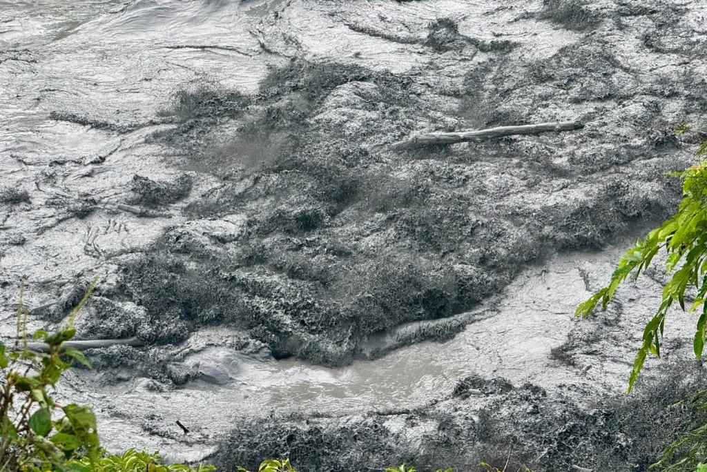 A top-down close-up view of thick, turbulent grey mud and water churning rapidly down a river channel, filled with uprooted branches and logs, framed by green foliage on the sides.