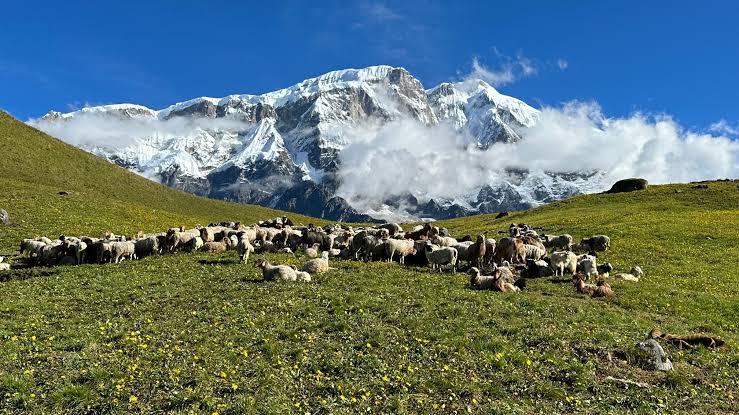 Kori Danda Trek with Kathmandu and Pokhara-10 Days Kori Danda Trek with Kathmandu and Pokhara-10 Days