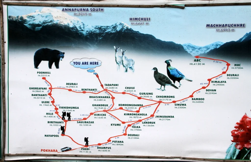 Trekking map board showing route network connecting Tadapani, Ghorepani, Poon Hill, Ghandruk, and Annapurna Base Camp.